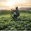 Вело шлем TLD Flowline SE HELMET Radian [Gray/Charcoal] 