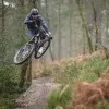 Джерси TLD FLOWLINE LS JERSEY Revert [Wine] 