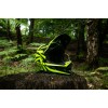 Вело шлем TLD D4 COMPOSITE HELMET PINNED [RED]