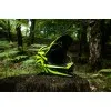 Вело шлем TLD D4 COMPOSITE HELMET STEALTH [BLACK] 