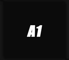 A1 TLD
