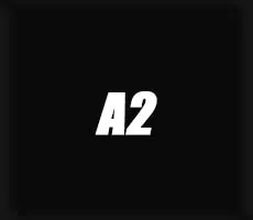 A2 TLD