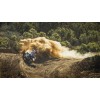 Мото джерсі TLD SE PRO AIR JERSEY; SWARM [BLACK / SMOKE]